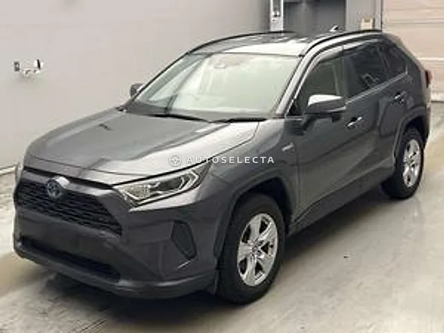 Toyota RAV4 2019, auction grade 4
