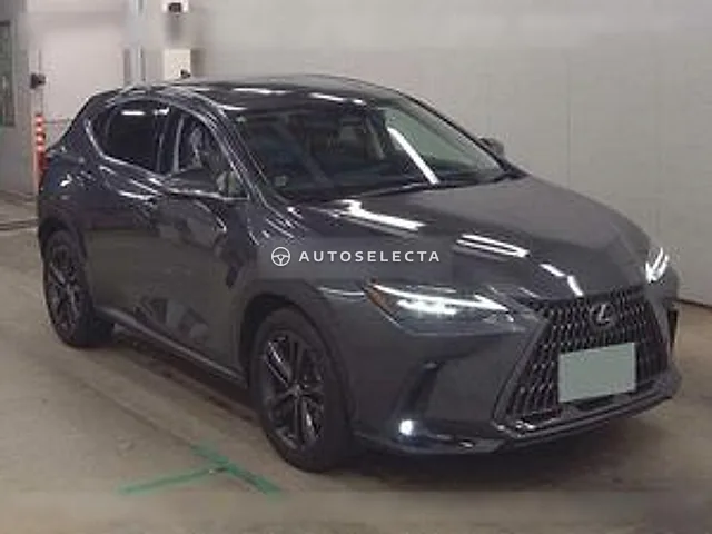 Lexus NX 2022, auction grade 5