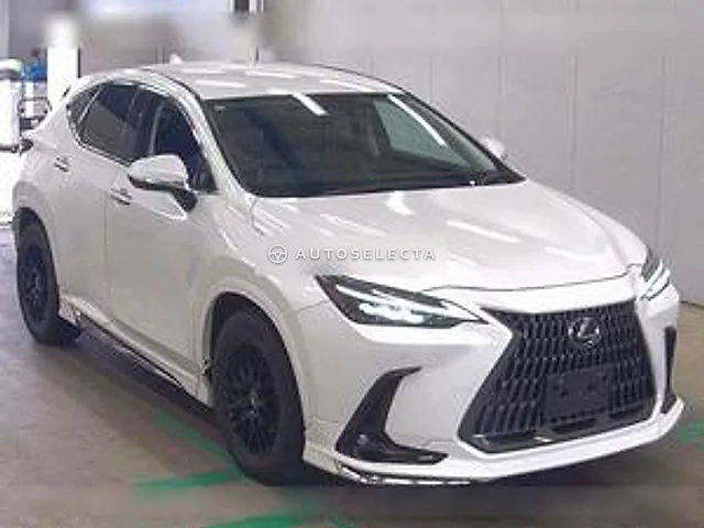 Lexus NX 2023, auction grade R