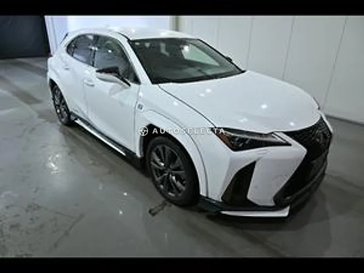 Lexus UX 2021, photo 1 of 11