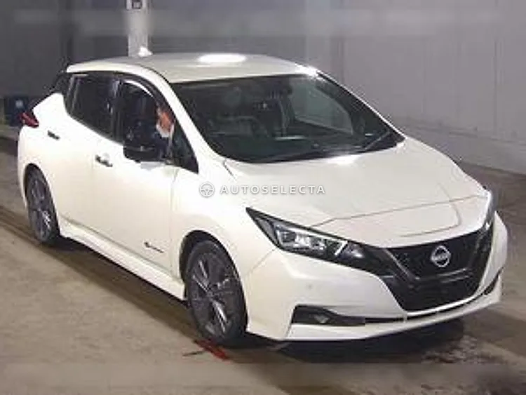 Nissan Leaf 2021, photo 1 of 1