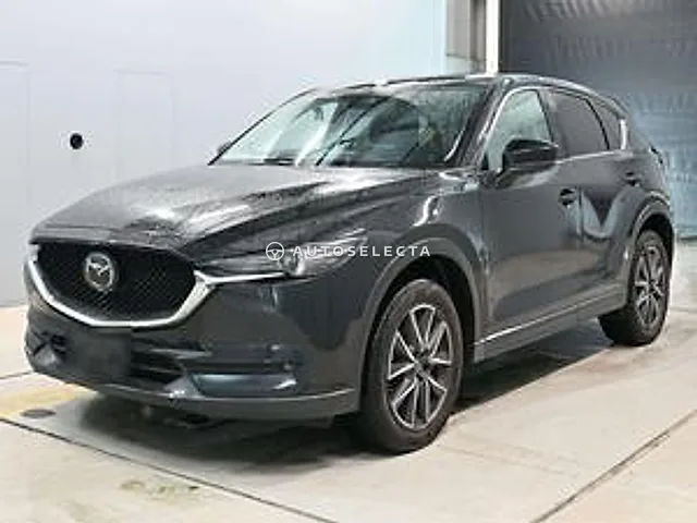 Mazda CX-5 2019, auction grade 4