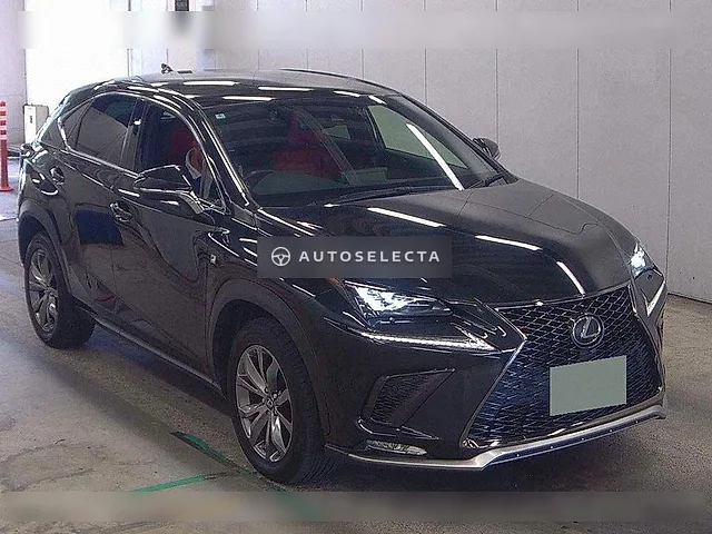 Lexus NX 2019, auction grade 4.5