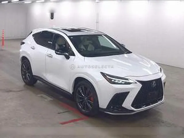 Lexus NX 2023, auction grade 5