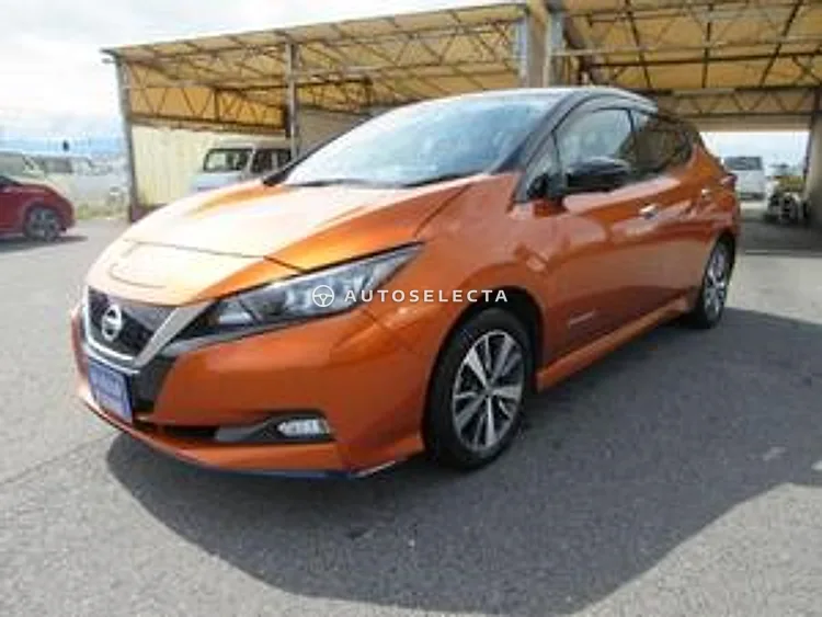 Nissan Leaf 2020, photo 1 of 1