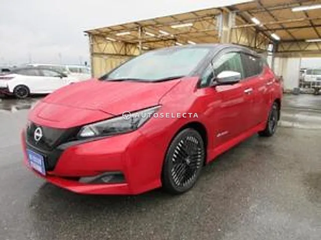 Nissan Leaf 2022, auction grade R