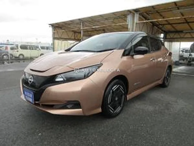 Nissan Leaf 2024, auction grade 4