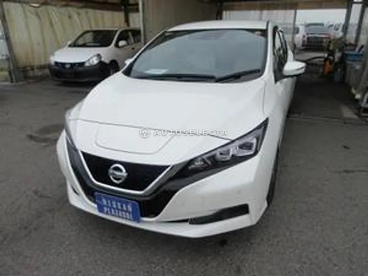 Nissan Leaf 2019, photo 1 of 1