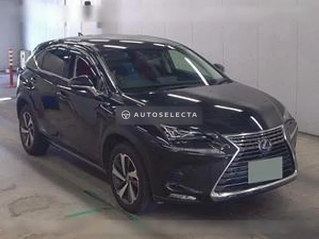 Lexus NX 2018, auction grade 4.5