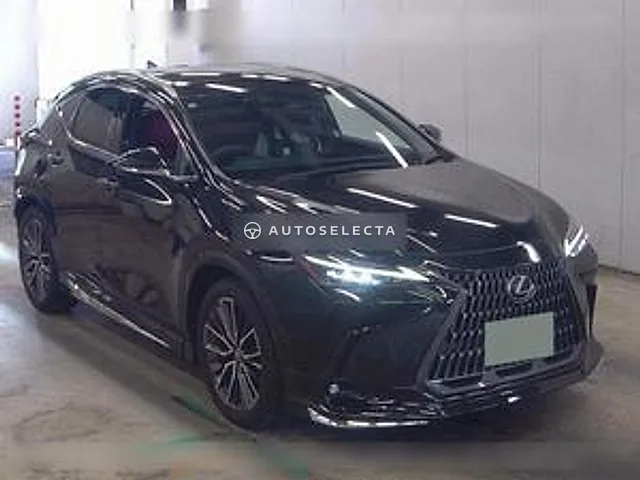 Lexus NX 2025, auction grade 4.5