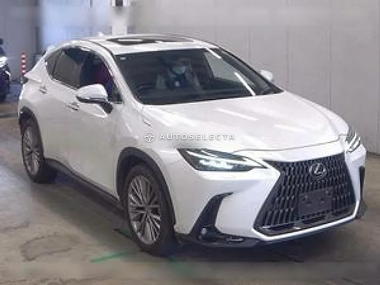 Lexus NX 2023, photo 1 of 1