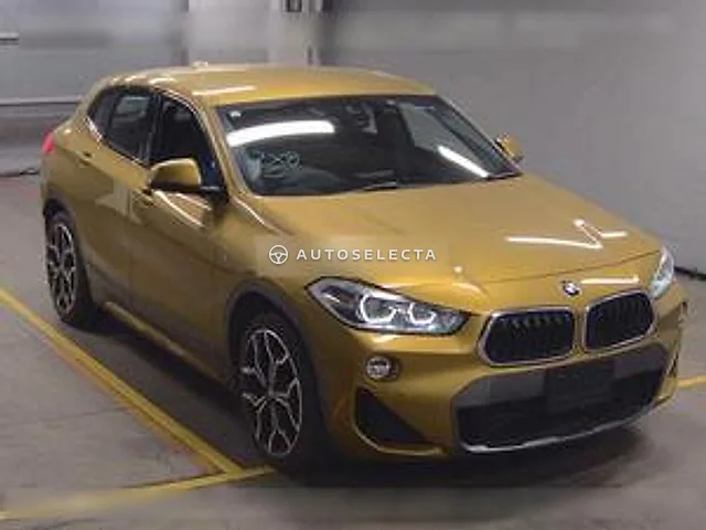 BMW X2 2019, auction grade 4.5