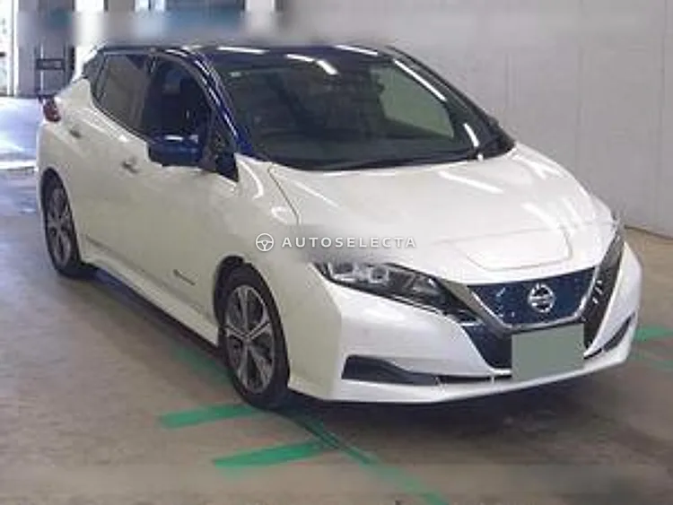 Nissan Leaf 2020, photo 1 of 1