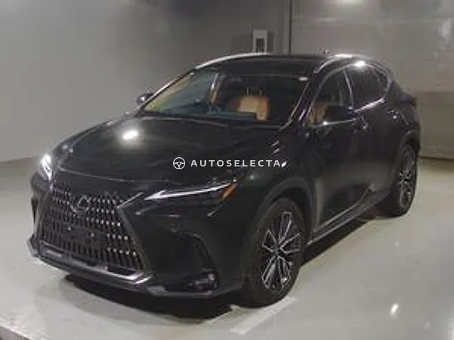Lexus NX 2023, auction grade 4