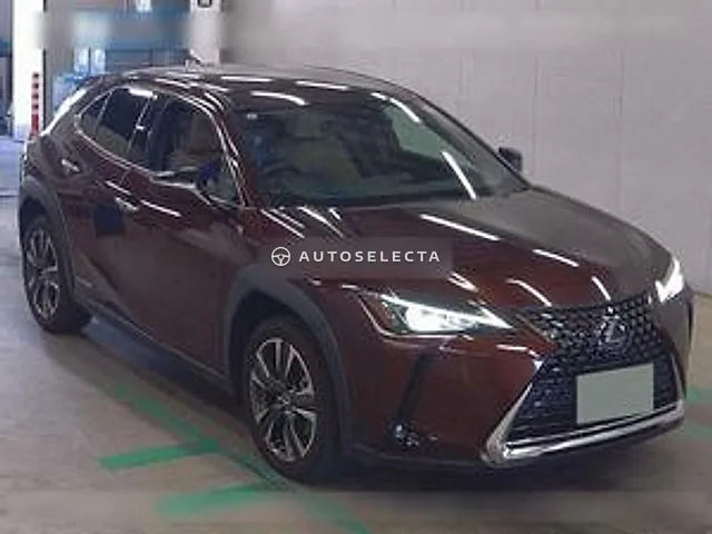 Lexus UX 2020, auction grade 4.5