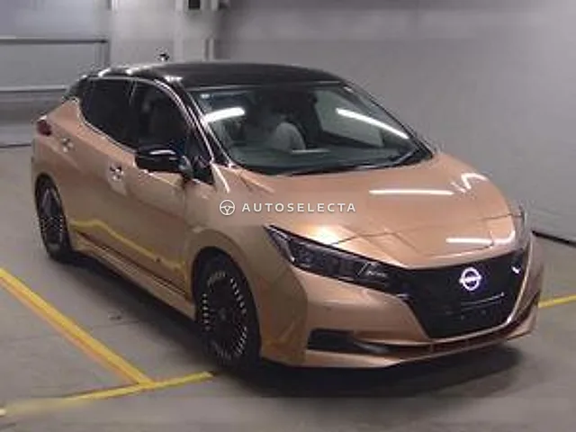Nissan Leaf 2022, auction grade 4.5