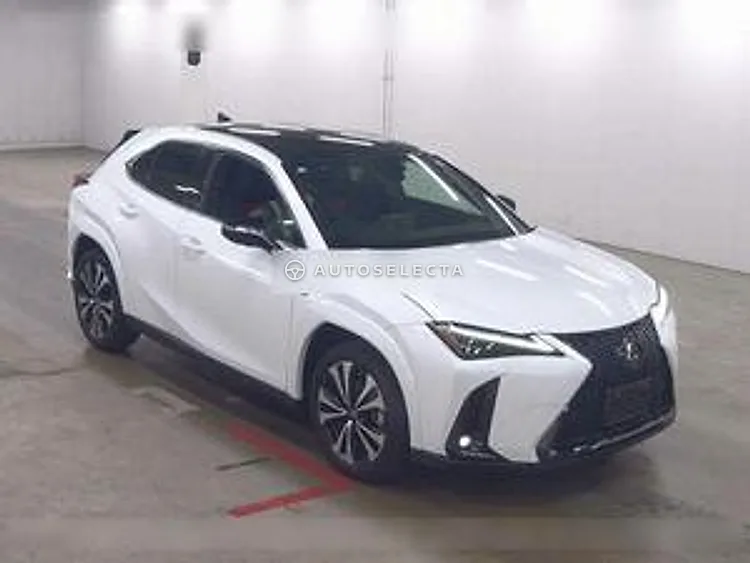 Lexus UX 2024, photo 1 of 1