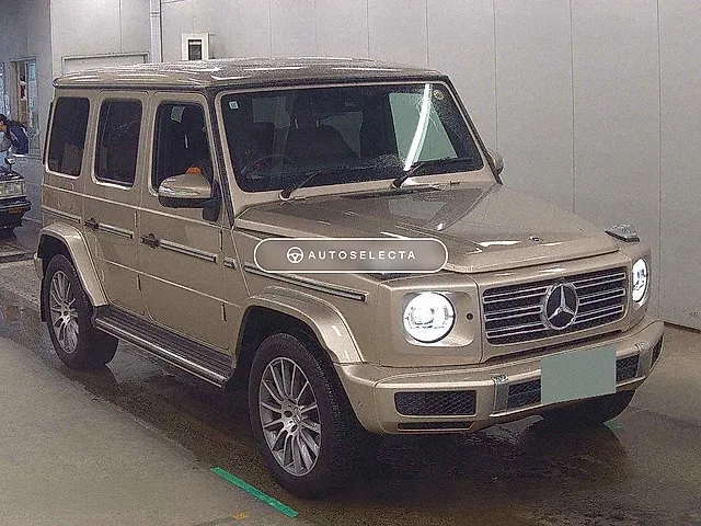 Mercedes-Benz G-Class 2023, auction grade 5