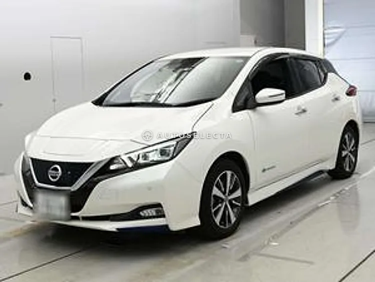 Nissan Leaf 2020, photo 1 of 1