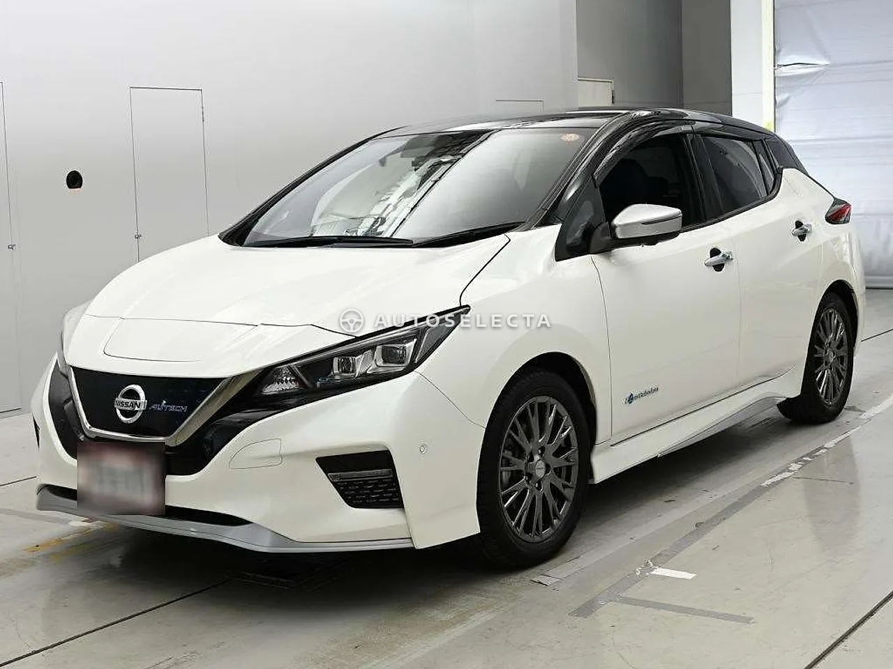 Nissan Leaf 2019, photo 1 of 1