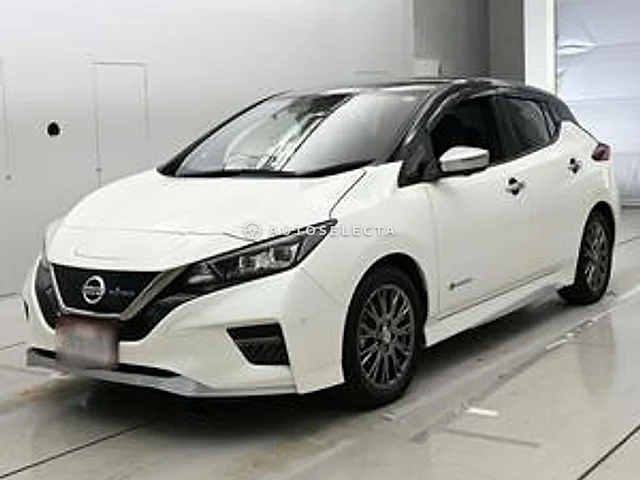 Nissan Leaf 2019, auction grade 5