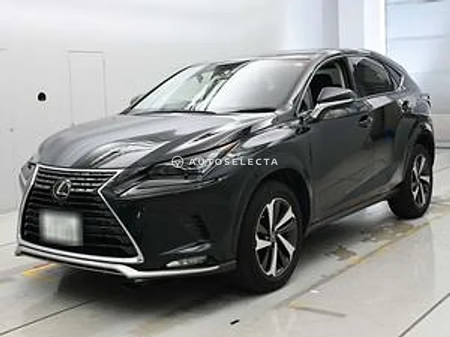 Lexus NX 2020, auction grade 4