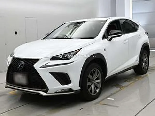 Lexus NX 2019, auction grade 4.5