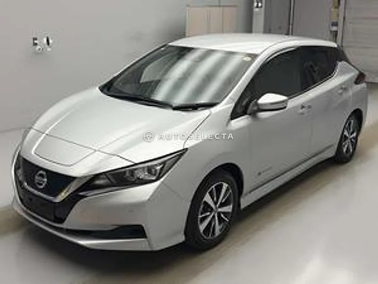 Nissan Leaf 2019, photo 1 of 1