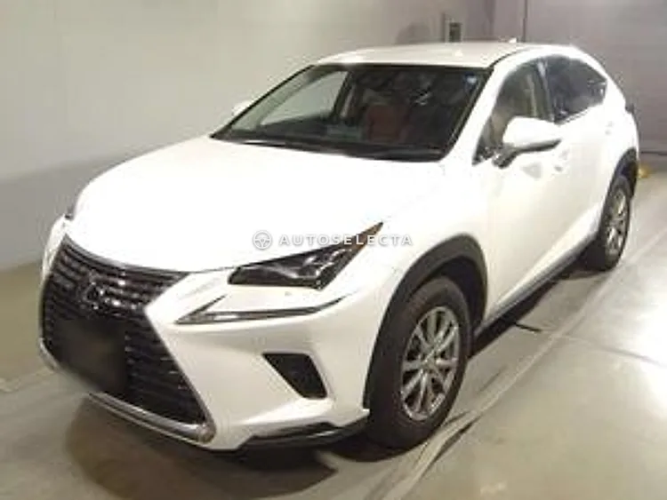 Lexus NX 2019, photo 1 of 1