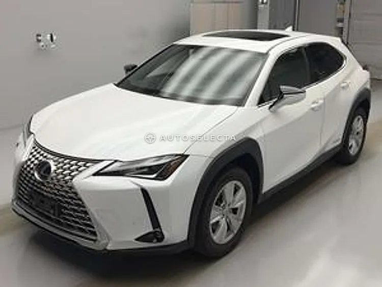 Lexus UX 2021, photo 1 of 1