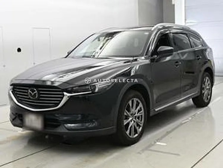 Mazda CX-8 2019, photo 1 of 1