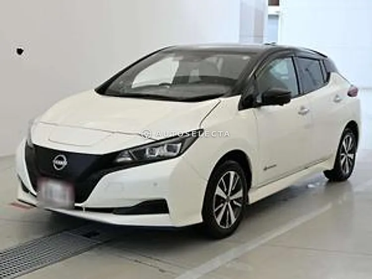 Nissan Leaf 2021, photo 1 of 11