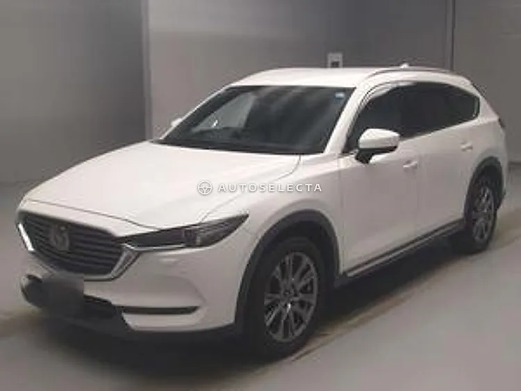 Mazda CX-8 2019, photo 1 of 1