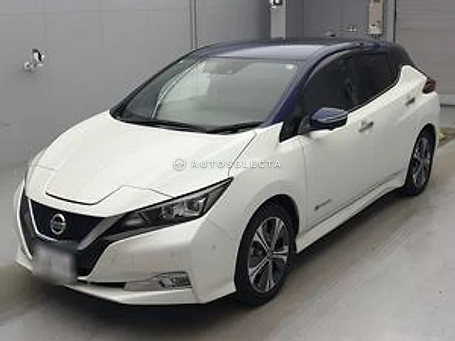 Nissan Leaf 2019, auction grade 4