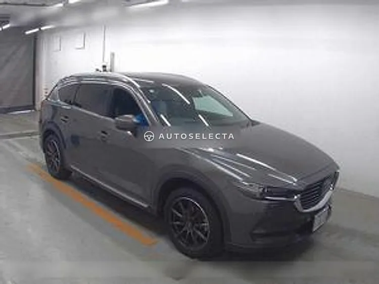 Mazda CX-8 2019, photo 1 of 1