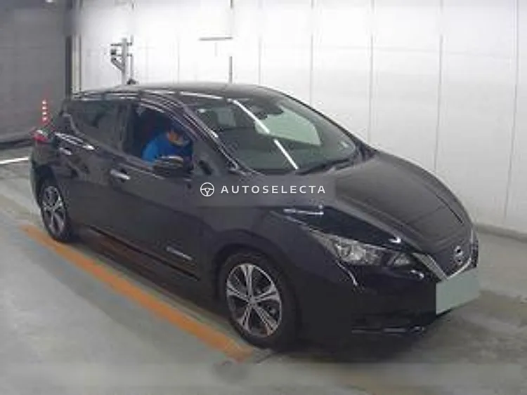 Nissan Leaf 2019, photo 1 of 1