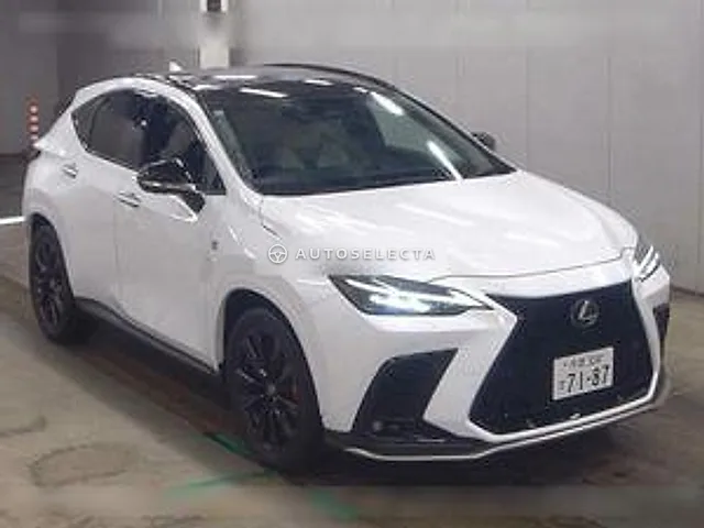 Lexus NX 2025, auction grade 5