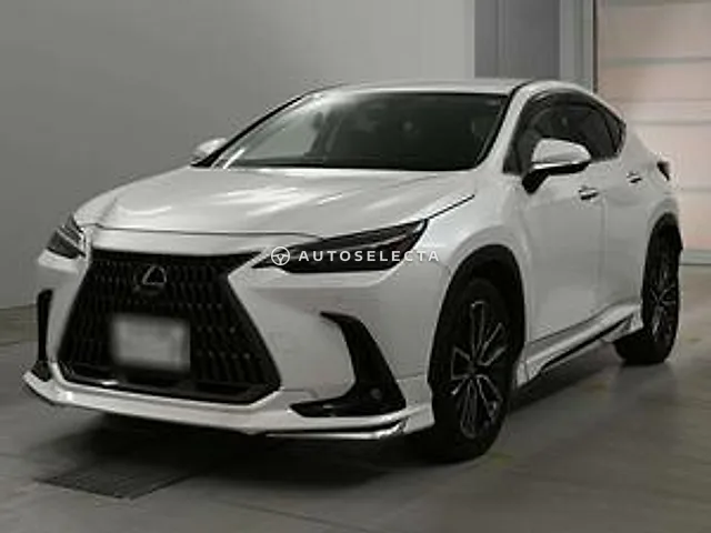 Lexus NX 2023, auction grade 4.5