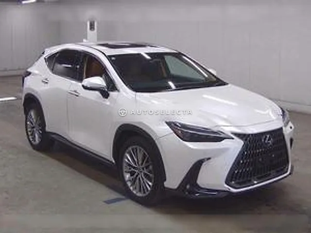 Lexus NX 2023