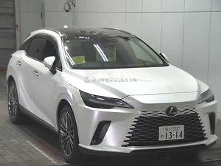 Lexus RX 2023, photo 1 of 6