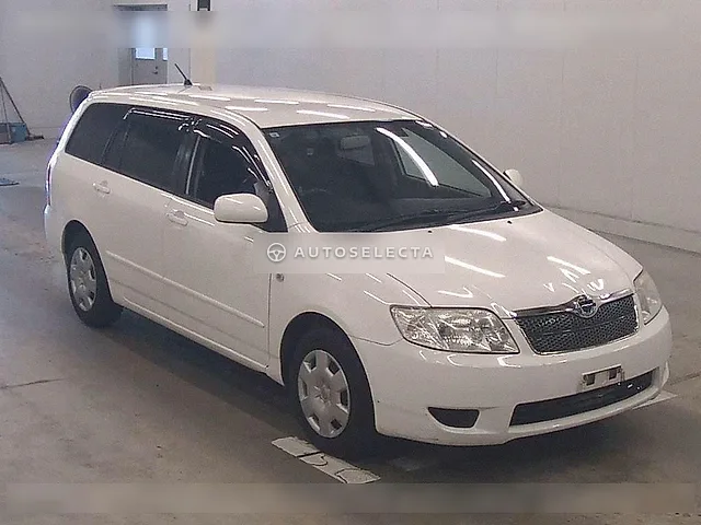 Toyota Corolla Fielder 2005, auction grade 3.5