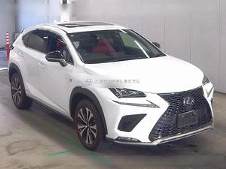 Lexus NX 2019, photo 1 of 1
