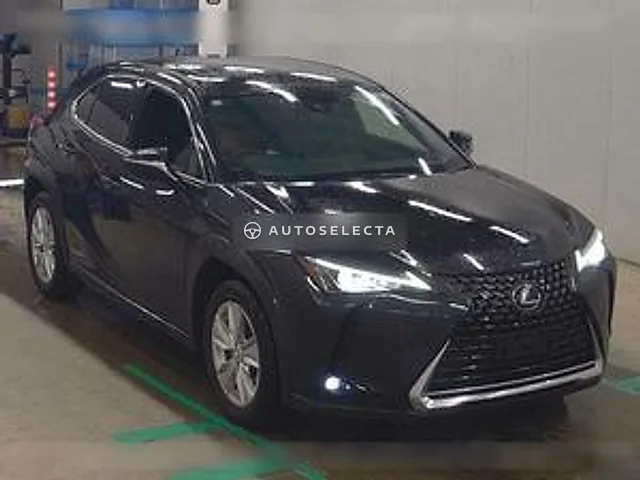 Lexus UX 2021, auction grade 4