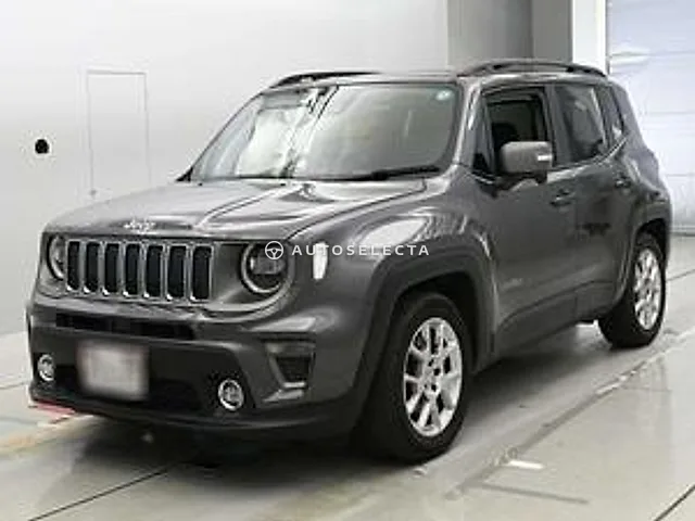 Jeep Renegade 2019, auction grade 4.5
