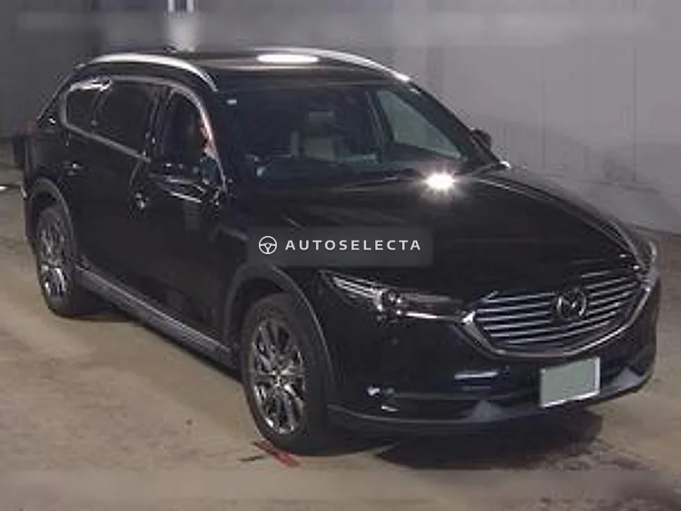 Mazda CX-8 2019, photo 1 of 1