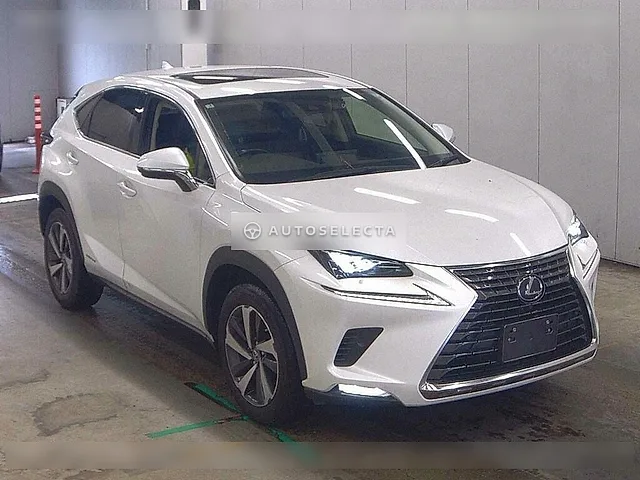 Lexus NX 2021, auction grade R