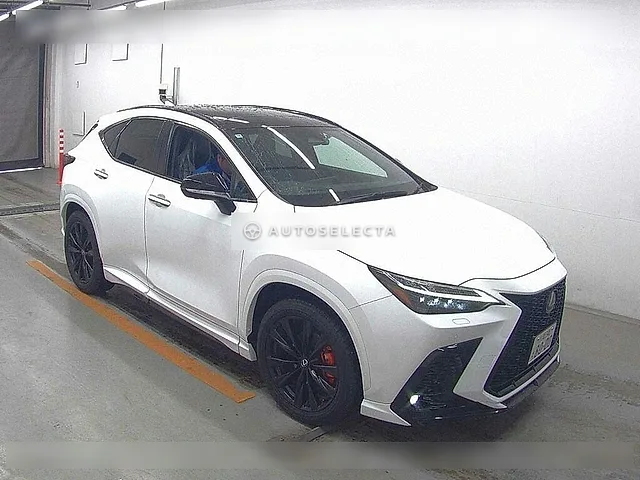 Lexus NX 2022, auction grade 4.5