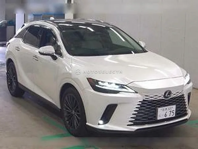 Lexus RX 2023, auction grade 4.5