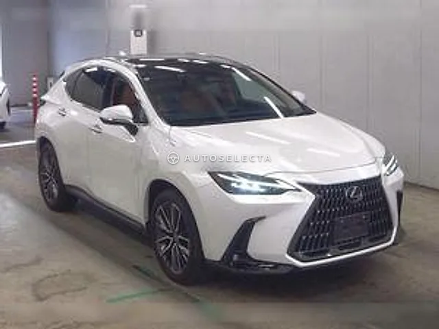 Lexus NX 2023, auction grade 4.5