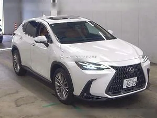 Lexus NX 2023, auction grade 4.5